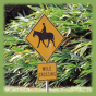 Molokai Mule Rides Hawaii